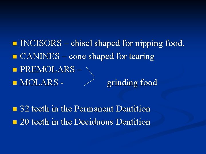 INCISORS – chisel shaped for nipping food. n CANINES – cone shaped for tearing