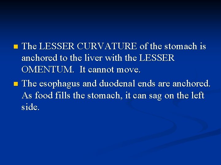 The LESSER CURVATURE of the stomach is anchored to the liver with the LESSER