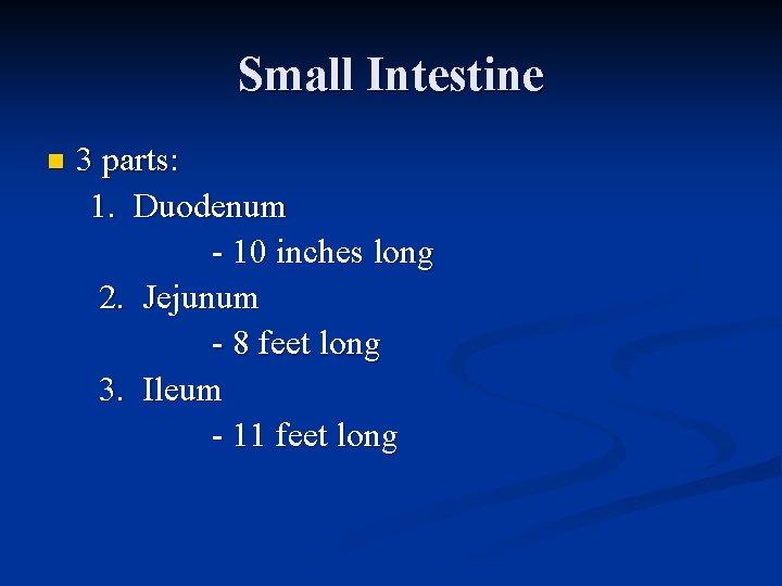 Small Intestine n 3 parts: 1. Duodenum - 10 inches long 2. Jejunum -