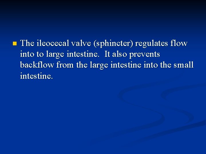 n The ileocecal valve (sphincter) regulates flow into to large intestine. It also prevents