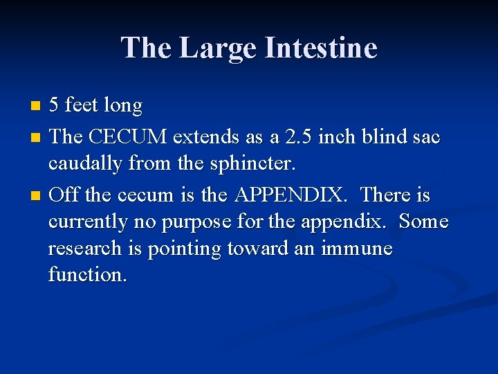 The Large Intestine 5 feet long n The CECUM extends as a 2. 5