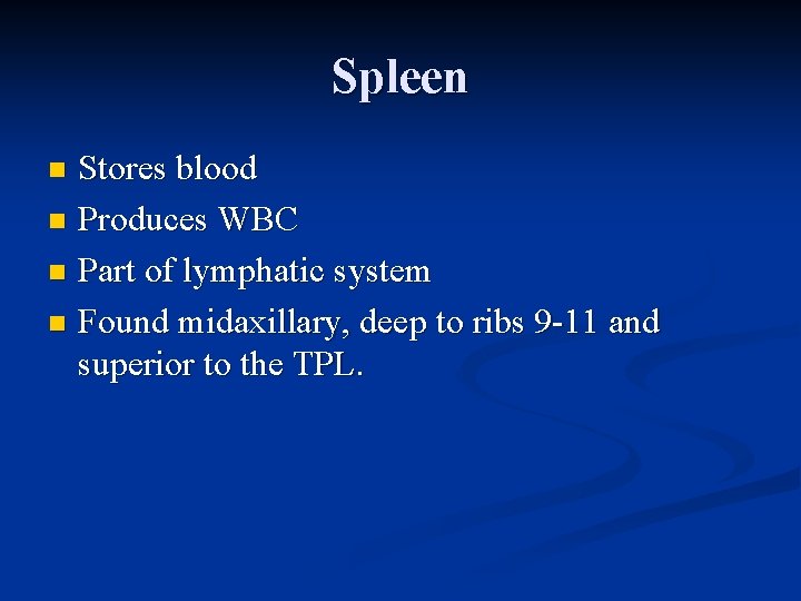 Spleen Stores blood n Produces WBC n Part of lymphatic system n Found midaxillary,