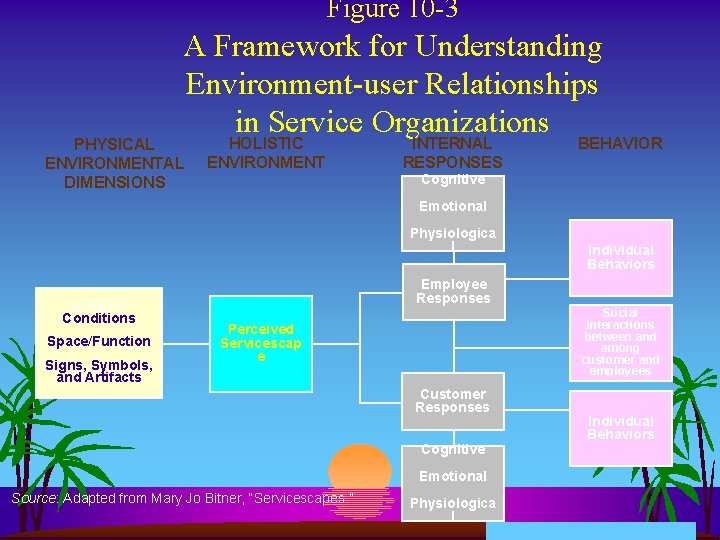 Figure 10 -3 A Framework for Understanding Environment-user Relationships in Service Organizations PHYSICAL ENVIRONMENTAL Figure 10 -3 A Framework for Understanding Environment-user Relationships in Service Organizations PHYSICAL ENVIRONMENTAL