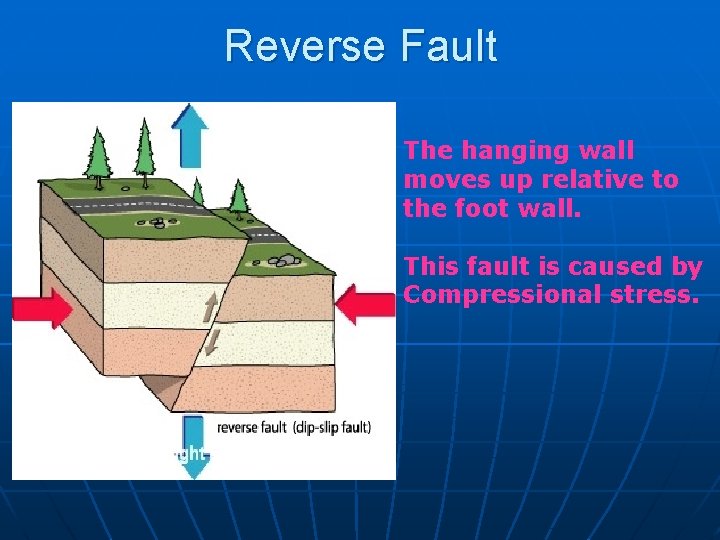 Reverse Fault The hanging wall moves up relative to the foot wall. This fault