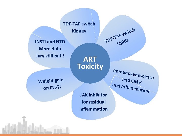 TDF-TAF switch Kidney INSTI and NTD More data Jury still out ! ch it