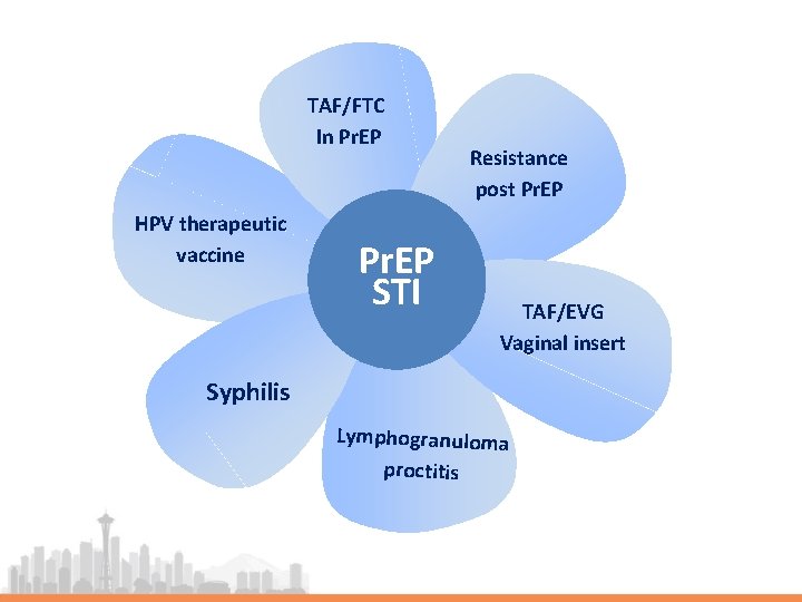 TAF/FTC In Pr. EP HPV therapeutic vaccine Pr. EP STI Resistance post Pr. EP