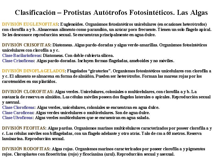 Clasificación – Protistas Autótrofos Fotosintéticos. Las Algas DIVISIÓN EUGLENOFITAS: Euglenoides. Organismos fotosintéticos unicelulares (en