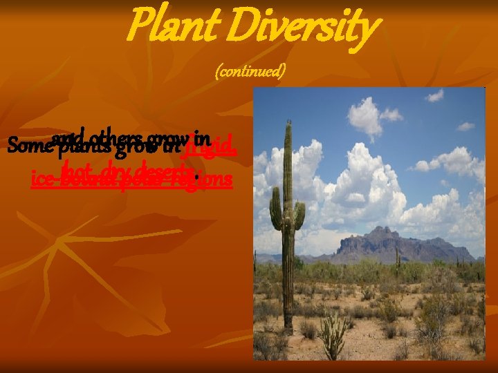 Plant Diversity (continued) others in Someand plants grow in frigid, hot, drypolar deserts. ice-bound Plant Diversity (continued) others in Someand plants grow in frigid, hot, drypolar deserts. ice-bound
