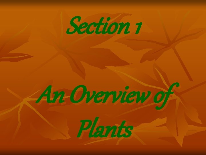 Section 1 An Overview of Plants Section 1 An Overview of Plants
