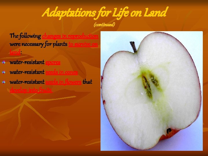 Adaptations for Life on Land (continued) The following changes in reproduction were necessary for Adaptations for Life on Land (continued) The following changes in reproduction were necessary for