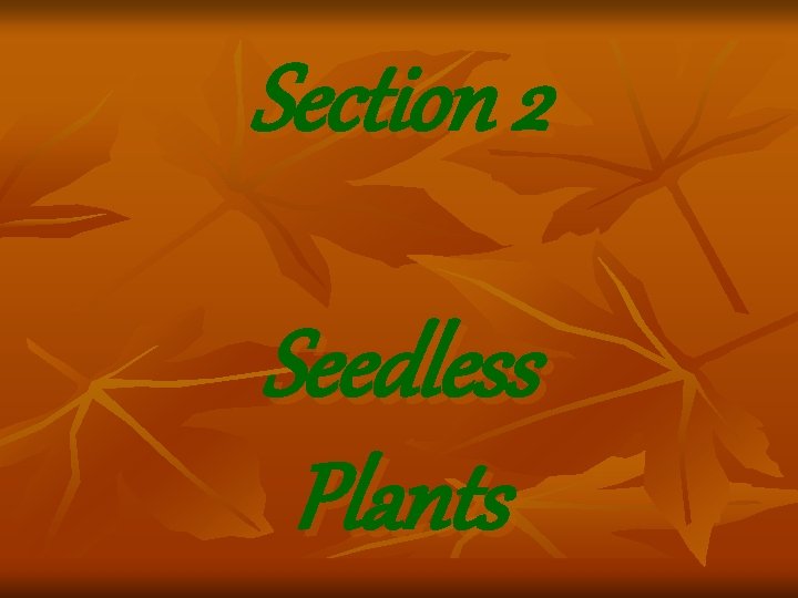 Section 2 Seedless Plants Section 2 Seedless Plants