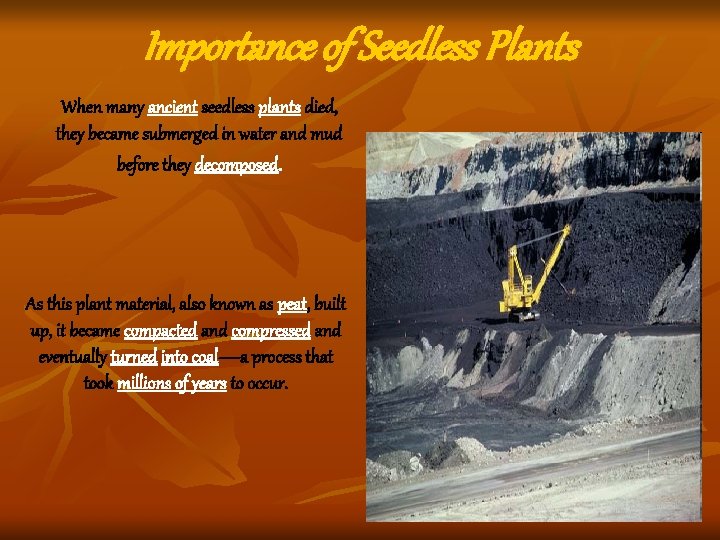 Importance of Seedless Plants When many ancient seedless plants died, they became submerged in Importance of Seedless Plants When many ancient seedless plants died, they became submerged in