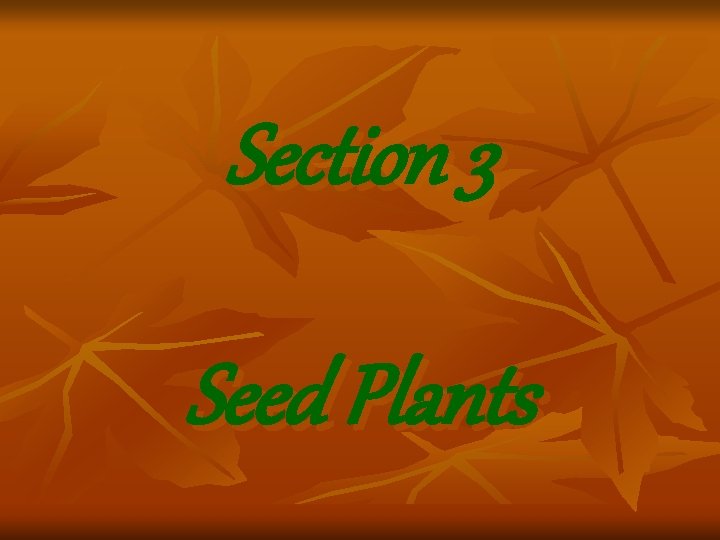 Section 3 Seed Plants Section 3 Seed Plants