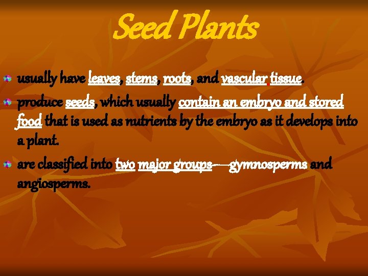 Seed Plants usually have leaves, stems, roots, and vascular tissue. produce seeds, which usually Seed Plants usually have leaves, stems, roots, and vascular tissue. produce seeds, which usually