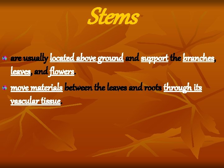 Stems are usually located above ground and support the branches, leaves, and flowers. move Stems are usually located above ground and support the branches, leaves, and flowers. move
