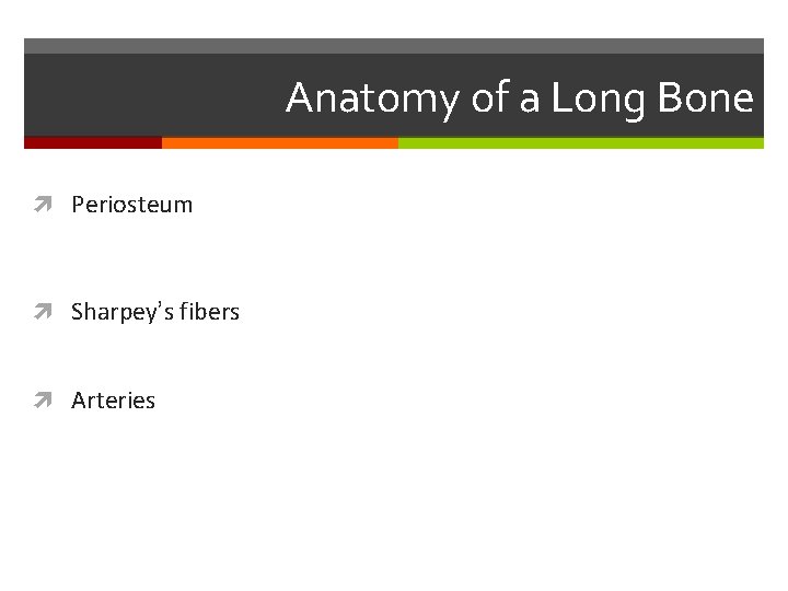 Anatomy of a Long Bone Periosteum Sharpey’s fibers Arteries Anatomy of a Long Bone Periosteum Sharpey’s fibers Arteries