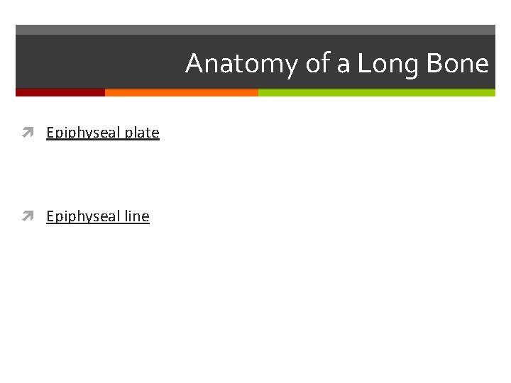 Anatomy of a Long Bone Epiphyseal plate Epiphyseal line 