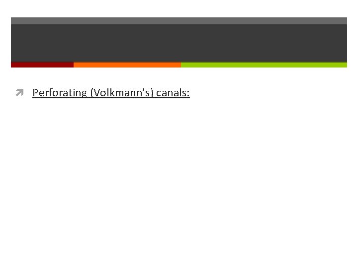 Perforating (Volkmann’s) canals: Perforating (Volkmann’s) canals: