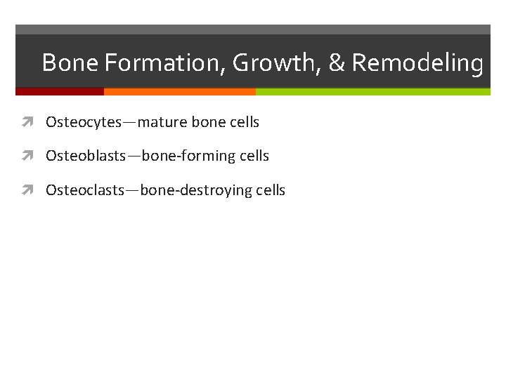 Bone Formation, Growth, & Remodeling Osteocytes—mature bone cells Osteoblasts—bone-forming cells Osteoclasts—bone-destroying cells 