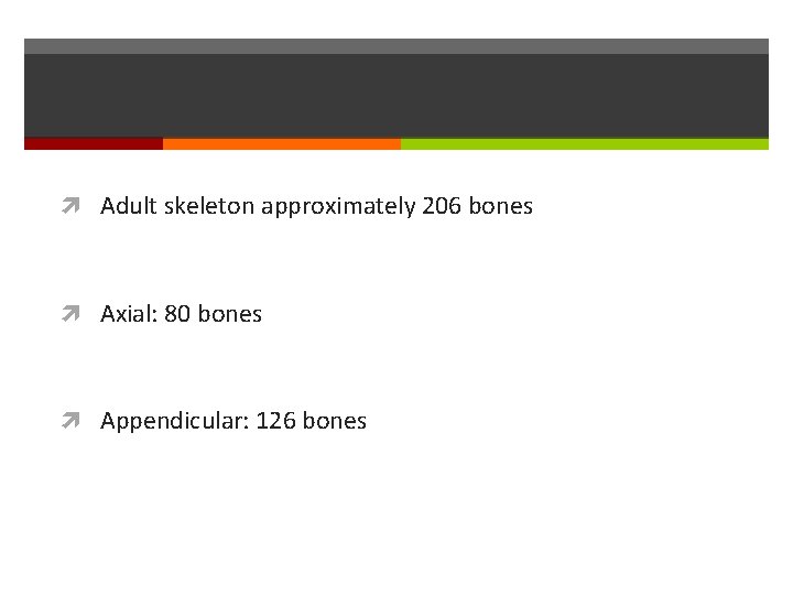  Adult skeleton approximately 206 bones Axial: 80 bones Appendicular: 126 bones 