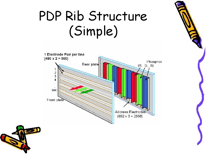 PDP Rib Structure (Simple) 