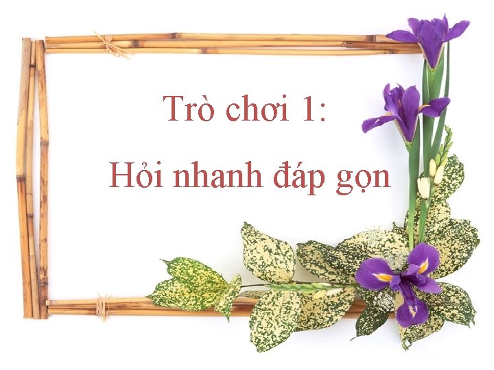 Trò chơi 1: Hỏi nhanh đáp gọn 