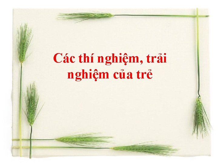 Các thí nghiệm, trải nghiệm của trẻ 