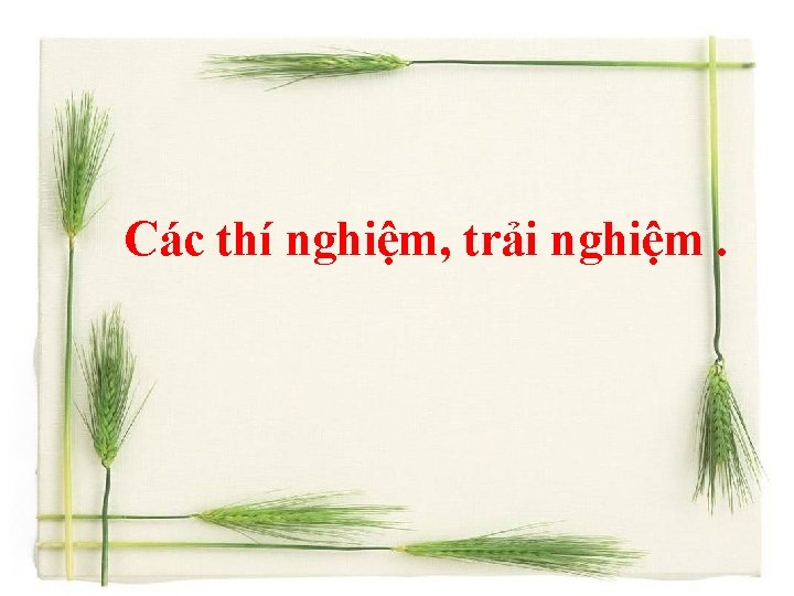 Các thí nghiệm, trải nghiệm. 