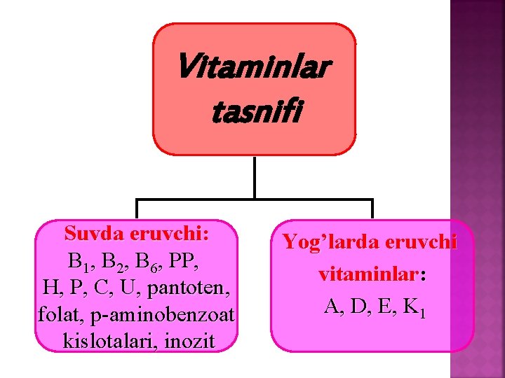 Vitaminlar tasnifi Suvda eruvchi: B 1, B 2, B 6, PP, H, P, C,