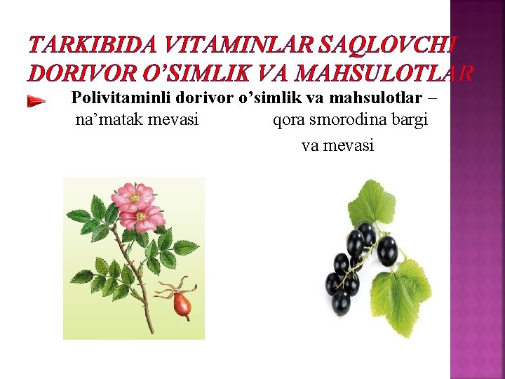 TARKIBIDA VITAMINLAR SAQLOVCHI DORIVOR O’SIMLIK VA MAHSULOTLAR Polivitaminli dorivor o’simlik va mahsulotlar – na’matak