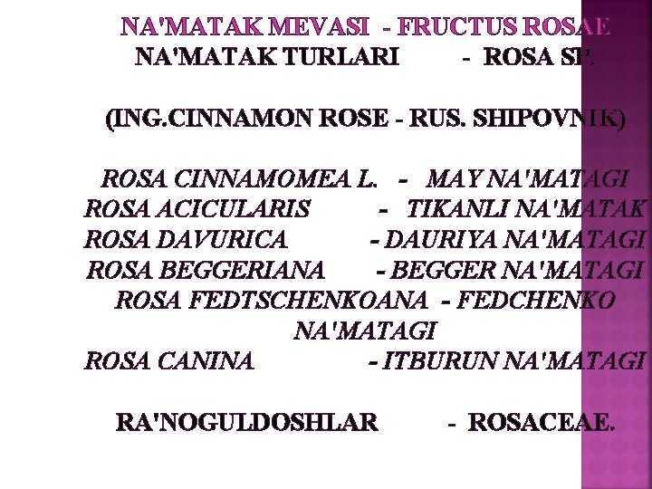 NA'MATAK MЕVASI - FRUCTUS ROSAE NA'MATAK TURLARI - ROSA SP. (ING. СINNAMON ROSE -