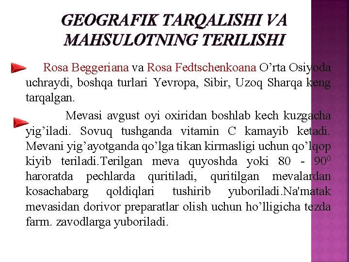 GEOGRAFIK TARQALISHI VA MAHSULOTNING TERILISHI Rosa Beggeriana va Rosa Fedtschenkoana O’rta Osiyoda uchraydi, boshqa