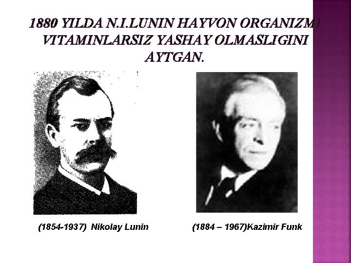 1880 YILDA N. I. LUNIN HAYVON ORGANIZMI VITAMINLARSIZ YASHAY OLMASLIGINI AYTGAN. (1854 -1937) Nikolay