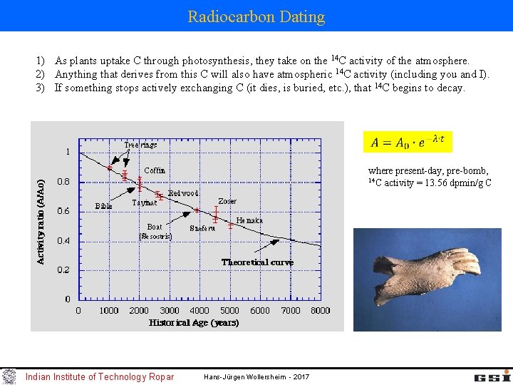Radiocarbon Dating 1) As plants uptake C through photosynthesis, they take on the 14