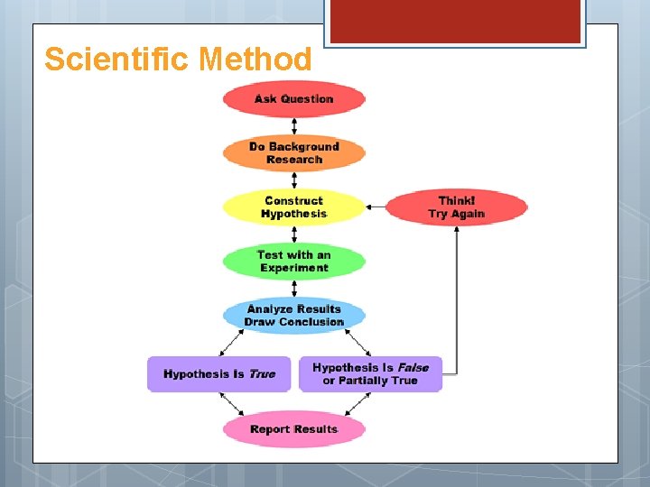Scientific Method 