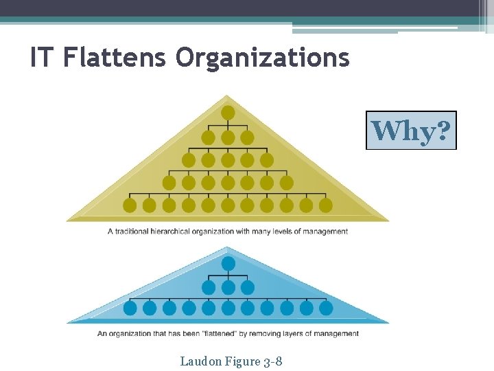 IT Flattens Organizations Why? Laudon Figure 3 -8 