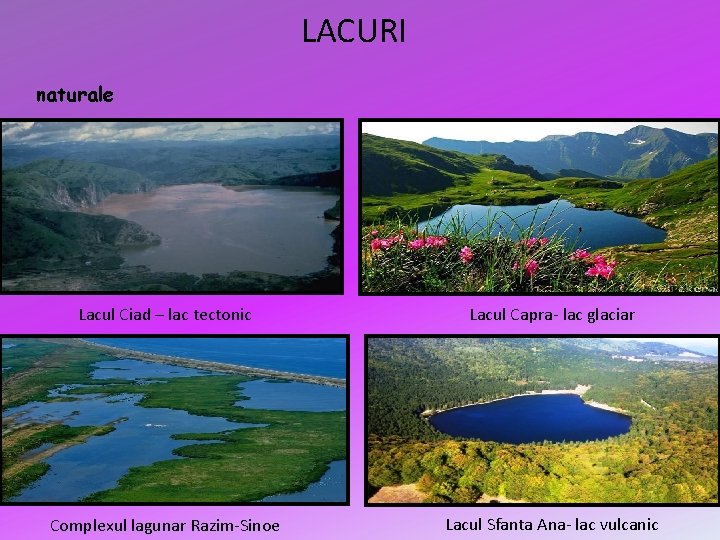 LACURI naturale Lacul Ciad – lac tectonic Lacul Capra- lac glaciar Complexul lagunar Razim-Sinoe LACURI naturale Lacul Ciad – lac tectonic Lacul Capra- lac glaciar Complexul lagunar Razim-Sinoe