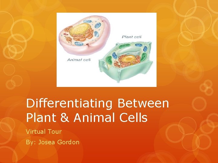 Differentiating Between Plant & Animal Cells Virtual Tour By: Josea Gordon 