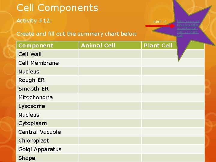 Cell Components Activity #12: HINT! ; ) Create and fill out the summary chart
