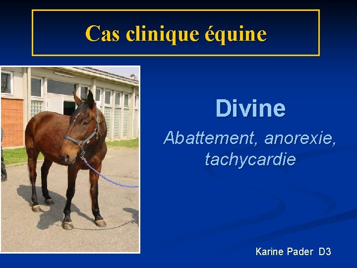 Cas clinique équine Divine Abattement, anorexie, tachycardie Karine Pader D 3 