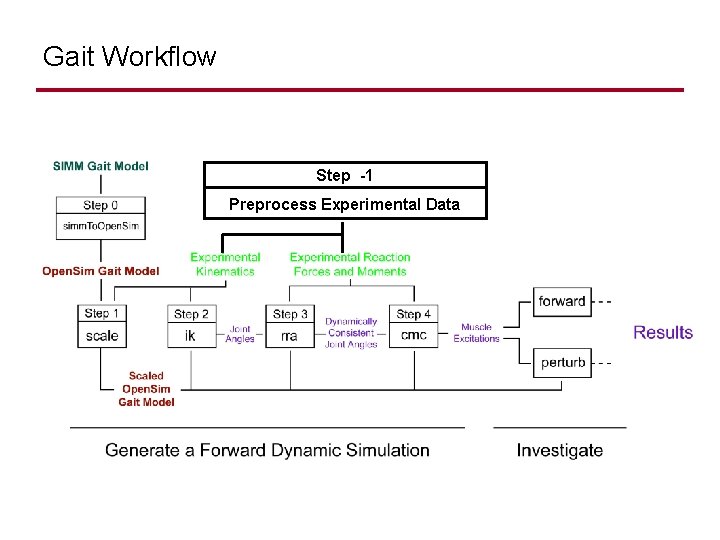 Gait Workflow Step -1 Preprocess Experimental Data 