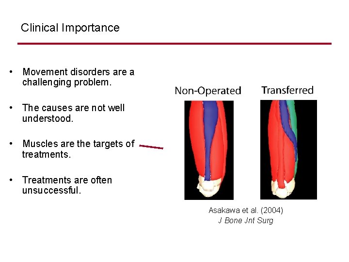 Clinical Importance • Movement disorders are a challenging problem. • The causes are not