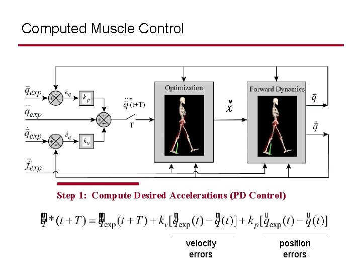 Computed Muscle Control Step 1: Compute Desired Accelerations (PD Control) velocity errors position errors