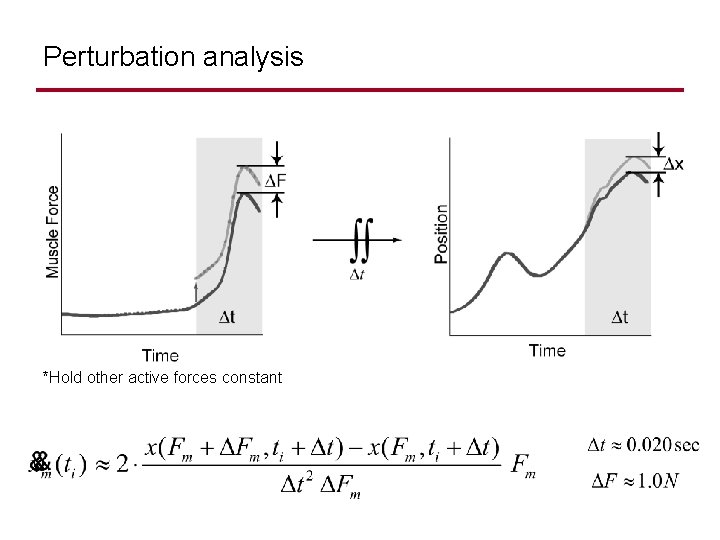 Perturbation analysis *Hold other active forces constant 