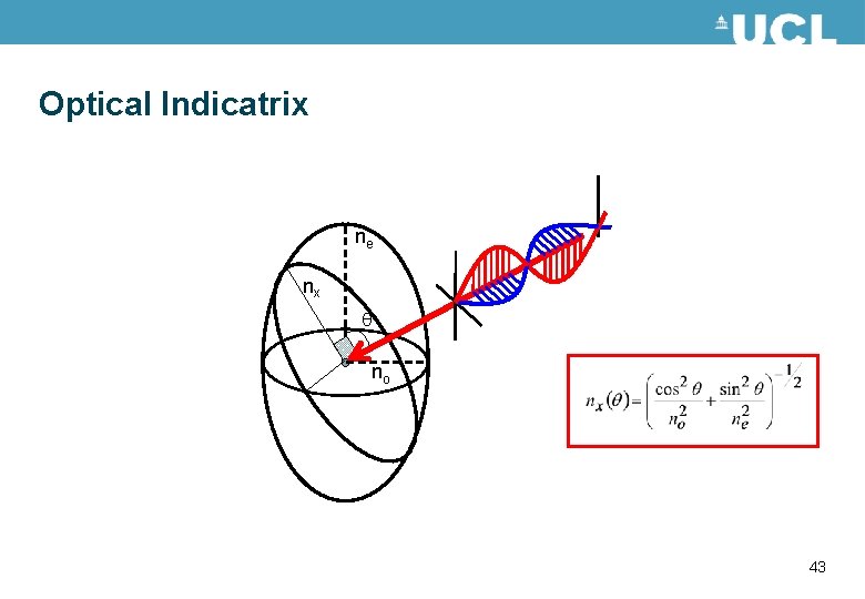 Optical Indicatrix ne nx no 43 