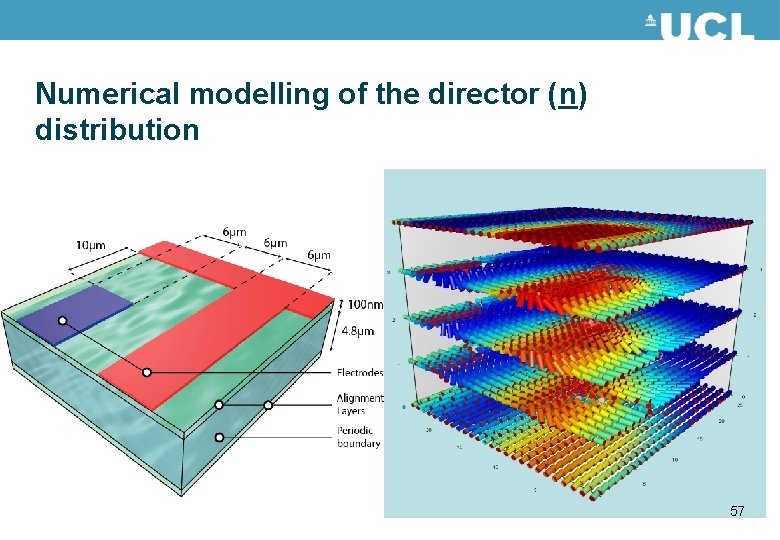 Numerical modelling of the director (n) distribution 57 