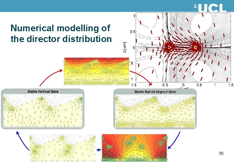 Numerical modelling of the director distribution 58 