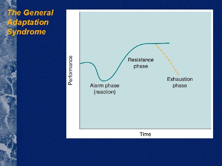 The General Adaptation Syndrome 