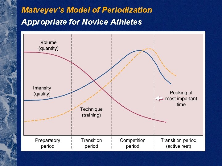 Matveyev’s Model of Periodization Appropriate for Novice Athletes 