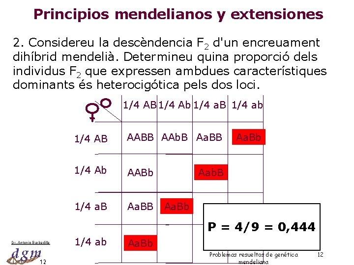 Principios mendelianos y extensiones 2. Considereu la descèndencia F 2 d'un encreuament dihíbrid mendelià.